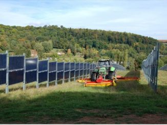 Landwirtschaft und Photovoltaik verbinden Lebensmittelproduktion und Ökostromherstellung